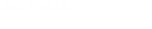 Prof. Dr. Peter Düking Logo